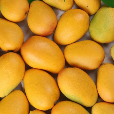 海南小台农芒果新鲜热带水果现摘现发整箱一件代发