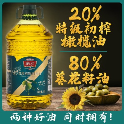 20%特级初榨橄榄油大桶装植物油4升调和油企业福利食用油