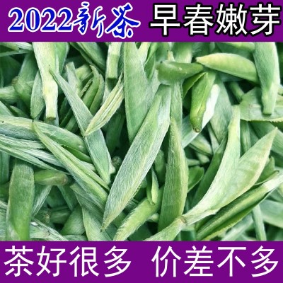 2022新茶霍山黄芽茶叶黄茶明前特一级安徽春茶散装250克