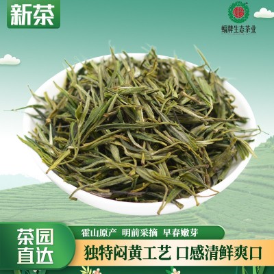 2021新茶霍山黄芽茶叶批发 产地厂家直销 支持一件代发黄芽茶