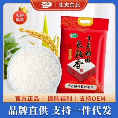 十月稻田 长粒香米东北大米农家自产香米粳米米饭煮粥5kg10斤