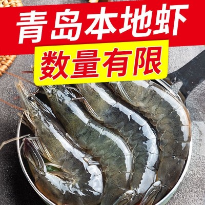 新鲜青岛大虾超大海虾海鲜水产鲜活活虾冷冻虾子基围虾一盒批发