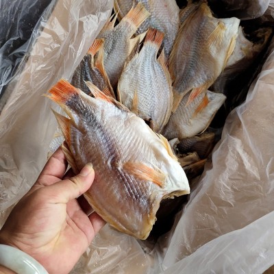 批发海鲈鱼 花鲈鱼 海鲜干货 淡晒咸鱼 500g 北海海产品