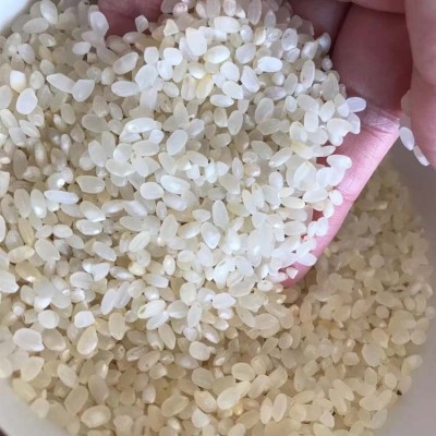 广东碎米酿酒珍珠米一手 圆粒鸡米珍珠饲料米白净酒米色选米25kg