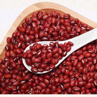 优质红小豆出口级别多种规格产地直销红小豆厂家批发宝清红