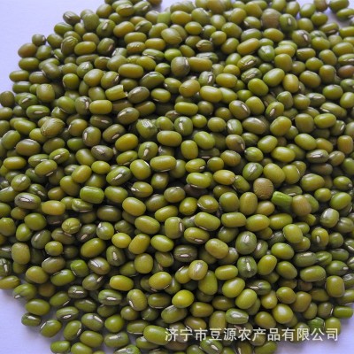 绿豆多种规格可供选择绿色种植家庭食用原料现磨豆浆现货