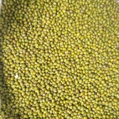 发芽用绿豆2018年新货上市发芽率极高的绿豆可以出口