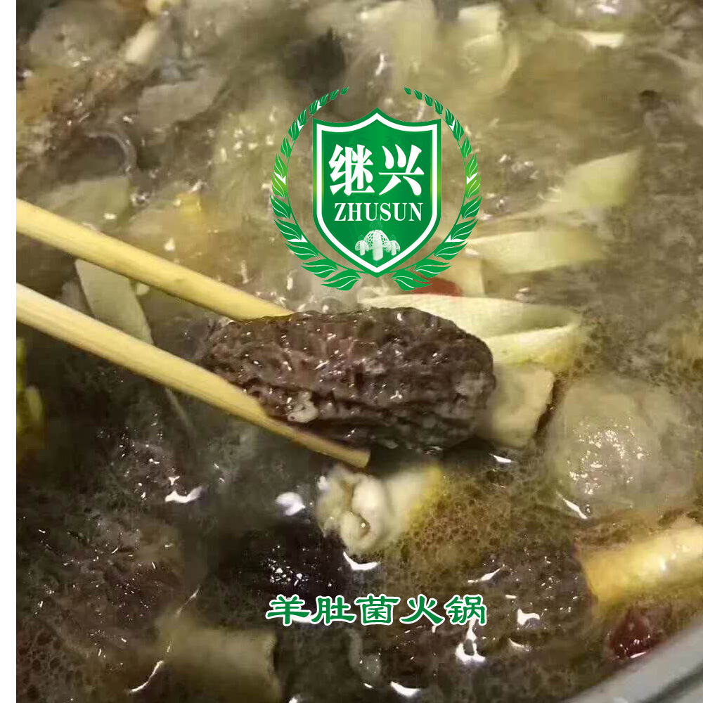 羊肚火锅 拷贝