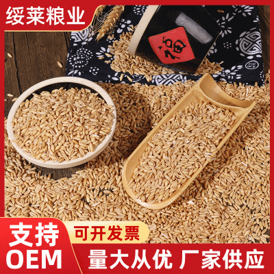 厂家直供生燕麦米25kg五谷杂粮粗粮燕麦胚芽米代发散装燕麦仁