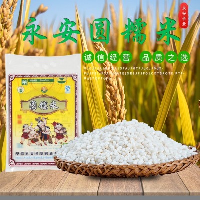 厂家现货定制批发 永安圆糯米五谷杂粮新米农产品 规格品种多样