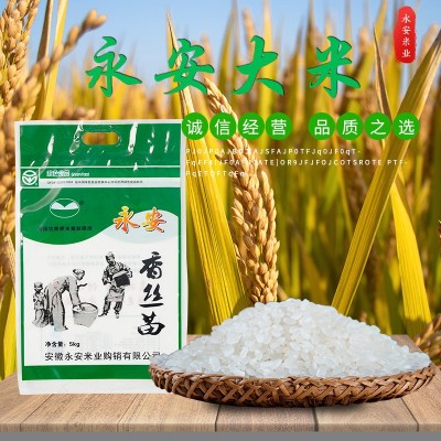 永安大米直供 香丝苗米新米长粒米10斤袋装5公斤小袋大米批发现货