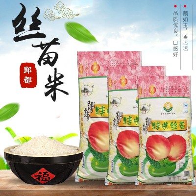 寿县大米红松花郢都特选丝苗米5kg/10斤丝苗米籼米长粒香米