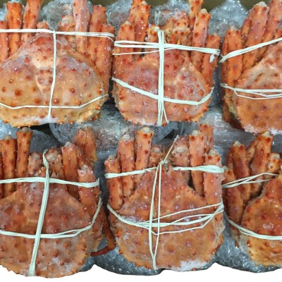 迷你帝王蟹1.2-1.6斤/只智利短刺熟冻帝王蟹大量销售酒席围餐