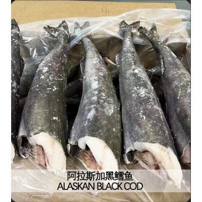 阿拉斯加黑鳕鱼 鳕鱼3-4-5磅/条 进口鳕鱼肉质鲜嫩