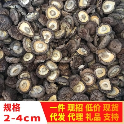 福建香菇干 新货冬菇干货肉厚香菇250g 黑面菇厂家批发