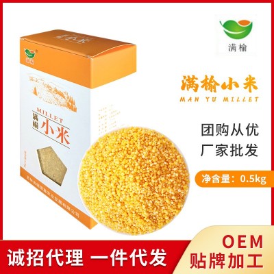 东北特产五谷杂粮黄小米 真空包装0.5kg米脂黄小米 厂家供应批发