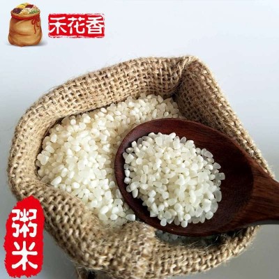 五常大米五常儿童粥米稻花香粥米东北大米粥碎米一件代发