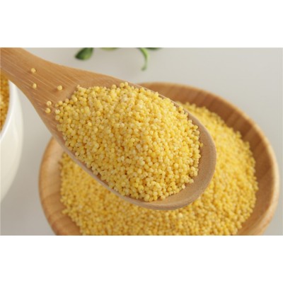 黄小米 小黄米 新米 精品小杂粮小包装 散装大货 出口小米食用级