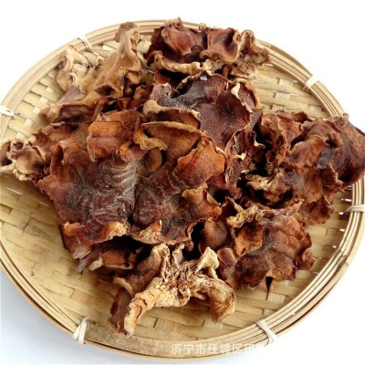 火锅食用菌干榆耳山东农产品特产当年榆耳菇供应