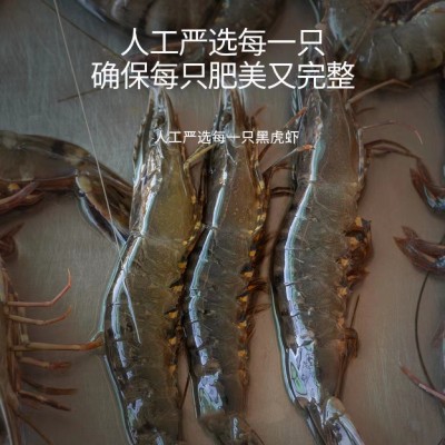 厂家批发东山海鲜黑虎虾斑节虾老虎虾鲜活速冻8~12条规格餐饮供应