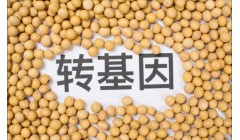 农业专家：放心食用，转基因食品不会影响生育，多个国家已在食用