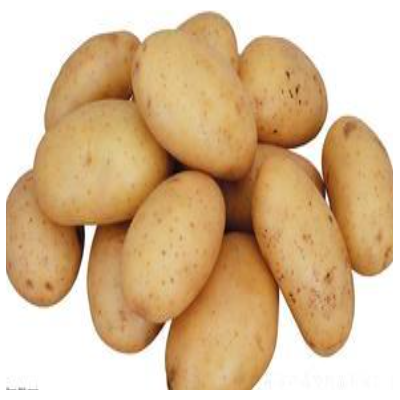 保鲜土豆 优质保鲜土豆优选 高密市海华食品有限公司
