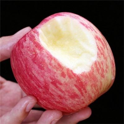 红富士苹果批发商 脆甜多汁 冰糖心苹 果 新鲜水果产地 一件代发