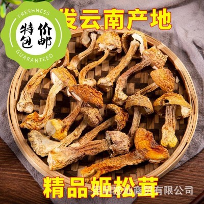 云南姬松茸羊肚菌茶树菇产地批发大中小菇多规格系列长短脚菇批发