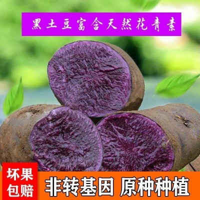 黑土豆新鲜蔬菜黑金刚乌洋芋紫色马铃薯紫黑花青素土豆批发5斤