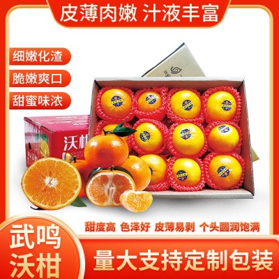 广西武鸣沃柑代发5斤装ab混果新鲜纯甜贡柑橘子应季水果薄皮桔子