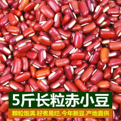 云南赤小豆 新货农家赤豆红豆薏米粥红芸豆豆类杂粮粗粮颗粒饱满