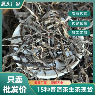 云南普洱茶生茶散茶批发古树大叶种晒青毛料500g冰岛昔归 南糯山