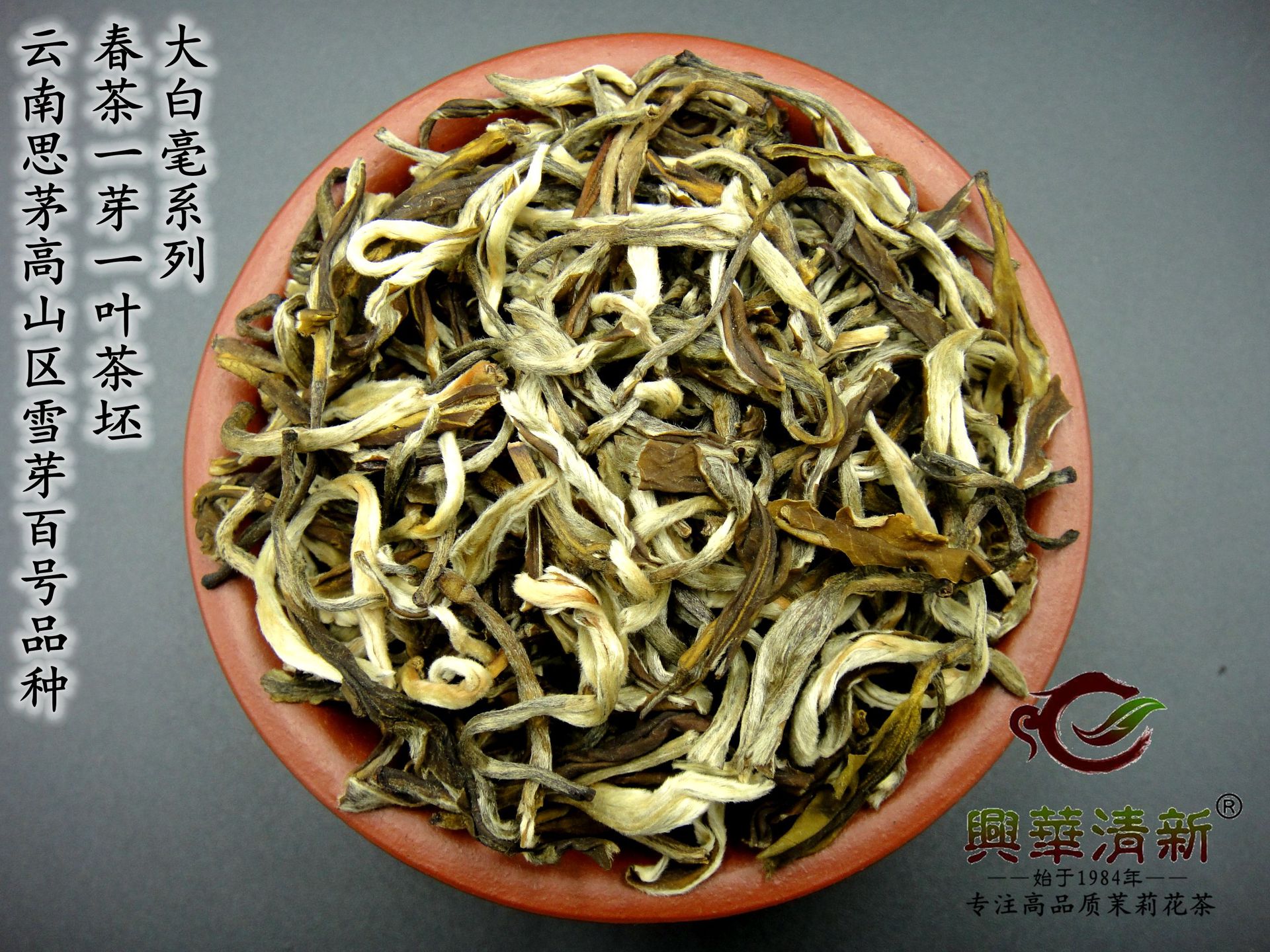 白毫茶王