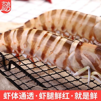 海鲜水产凤尾虾400g 东山岛水产大虎虾烧烤自助食材 厂家批发