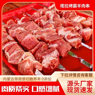 厂家直销内蒙羔羊肉串商用家用户外半成品烧烤食材新鲜羊肉串批发