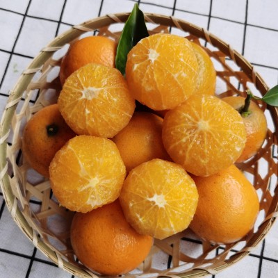 四川爱媛38号果冻橙，无籽无渣，粒粒爆汁可食用率高达95%以上