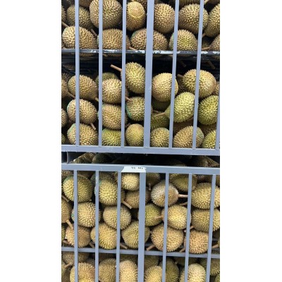 马来西亚D197猫山王9头液氮冷冻新鲜水果猫山王榴莲带壳9头果
