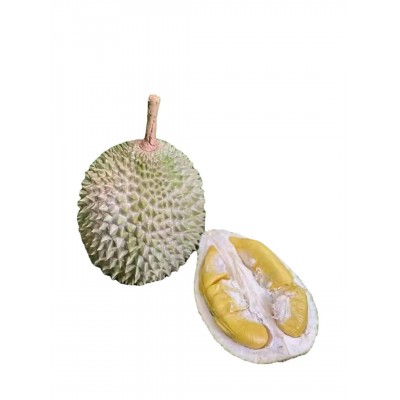 马来猫山王2.5-3斤榴莲D197新鲜水果液氮冷冻榴莲当季果代发货