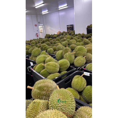 马来猫山王3-3.5斤榴莲D197液氮榴莲整果带壳榴莲冷冻水果