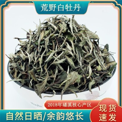 福鼎白茶华茶1号磻溪荒野花香白牡丹小菜茶老土茶太姥洋产区批发_供应