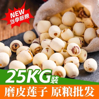 磨皮莲子批发厂家直销通芯新货干货大量白莲子杂粮特产25kg