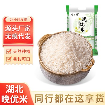 湖北长粒香晚优大米新米中晚稻籼米5kg农产品厂家直销代发批发