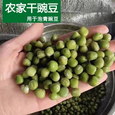 跑江湖地摊展销会干青豌豆货源10元模式 干豌豆 青豌豆 绿豌豆