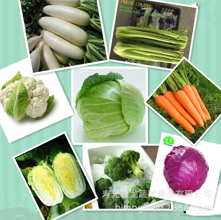 chinese fresh vegetable 2021