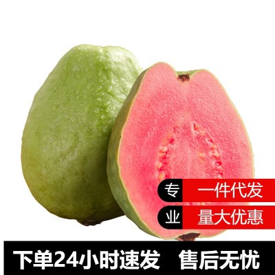 一件代发广东新鲜红心芭乐软心水果5斤装大果轻食特产红心番石榴
