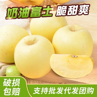 烟台苹果黄金奶油富士5斤装脆甜平安夜苹果一件代发新鲜水果批发