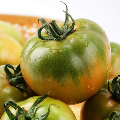海阳草莓柿子现摘现发铁皮绿腚柿子生吃戴安娜西红柿农家新鲜番茄
