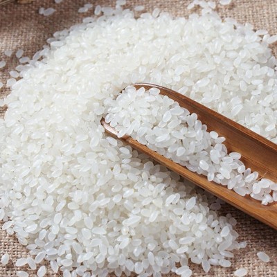 2023现磨新大米真空包装5kg黑龙江珍珠米10斤源产地直发东北大米