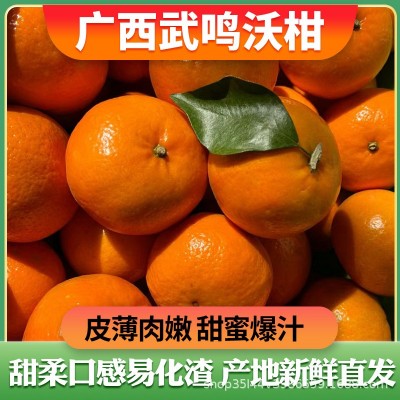 广西武鸣沃柑9斤整箱皇帝沙糖蜜橘桔子橘子当季水果批发一件代发
