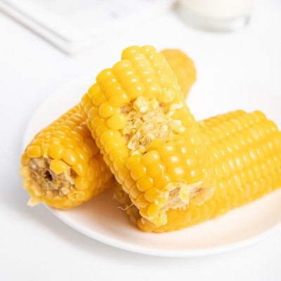 黄糯玉米真空装即食甜糯玉米代餐香糯玉米棒子当季新鲜一件代发
